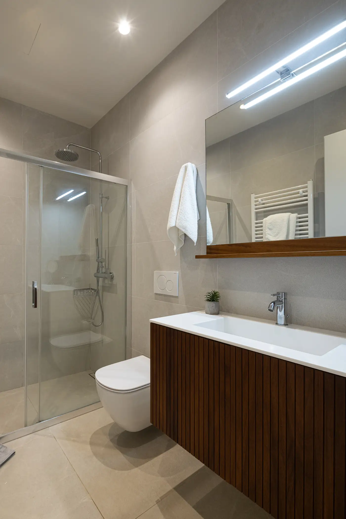 stablo corfu stablo2 18