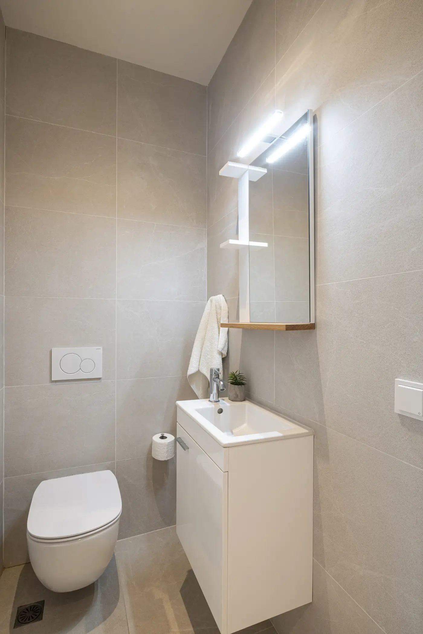 stablo corfu stablo2 8